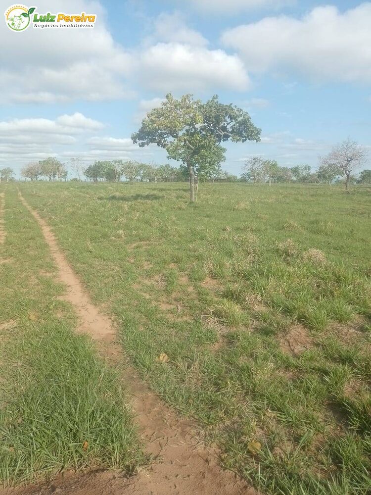 Terreno, 720 m² - Foto 5