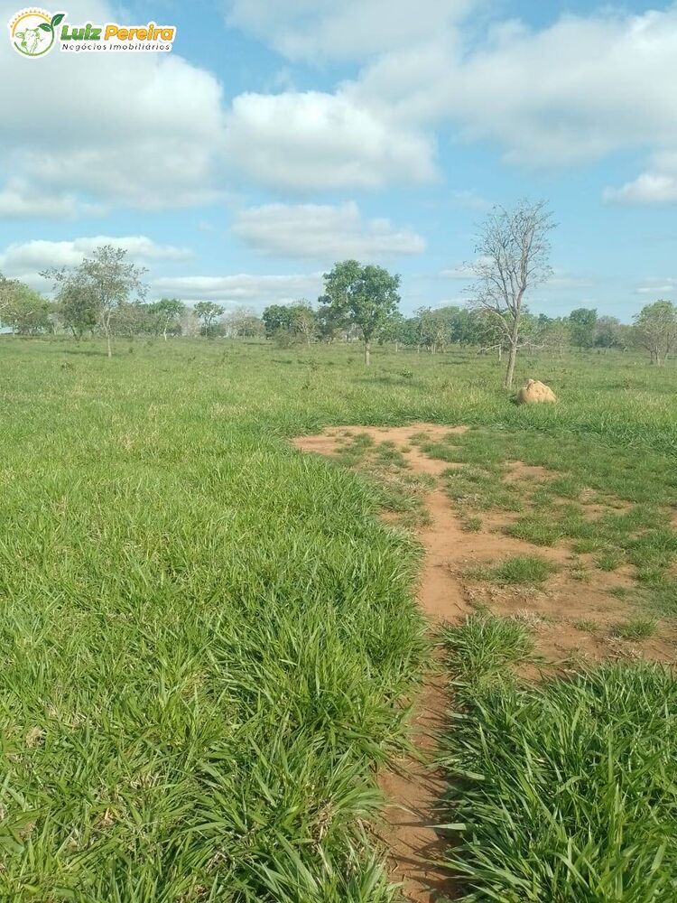 Terreno, 720 m² - Foto 3