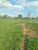 Terreno, 720 m² - Foto 3
