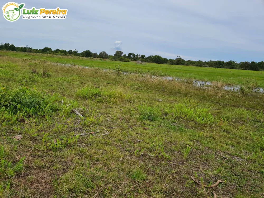 Terreno, 1000 hectares - Foto 2