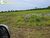 Terreno, 1000 hectares - Foto 4