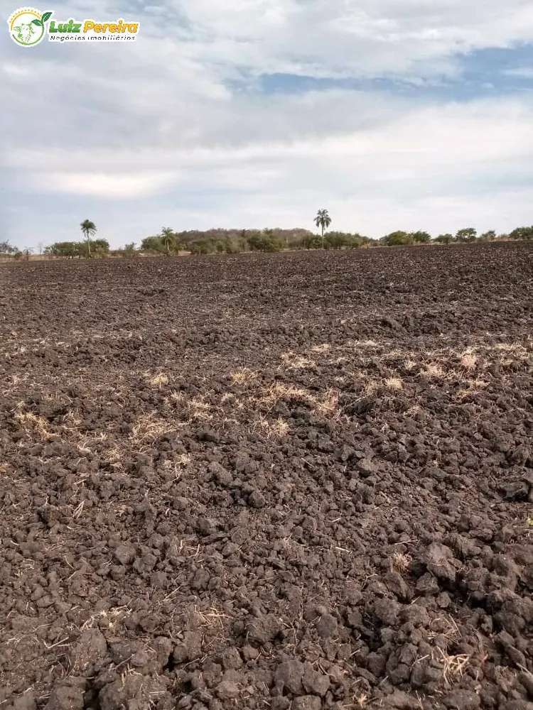 Terreno, 1800 hectares - Foto 3