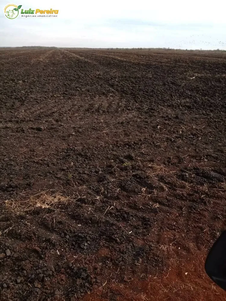 Terreno, 1800 hectares - Foto 6