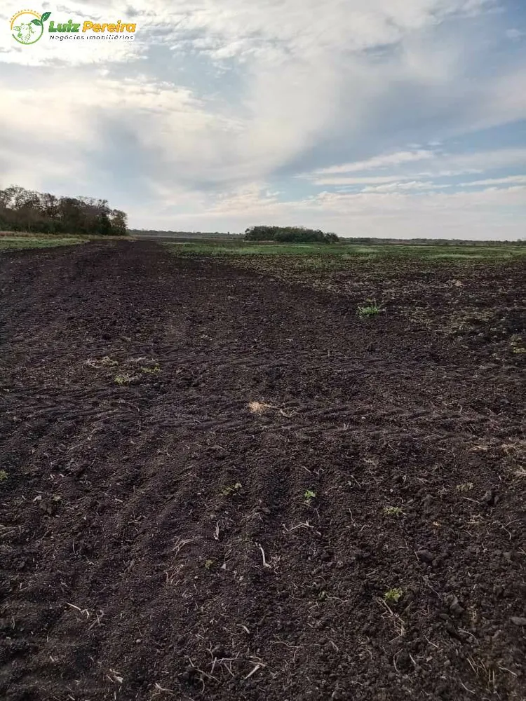 Terreno, 1800 hectares - Foto 7