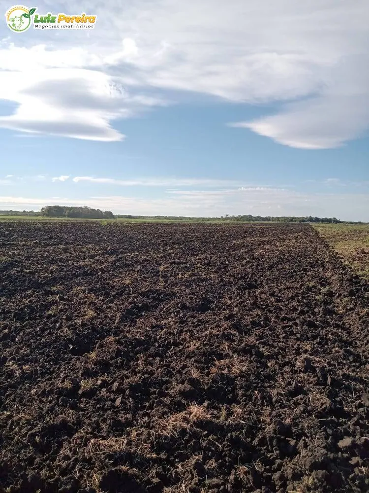Terreno, 1800 hectares - Foto 8