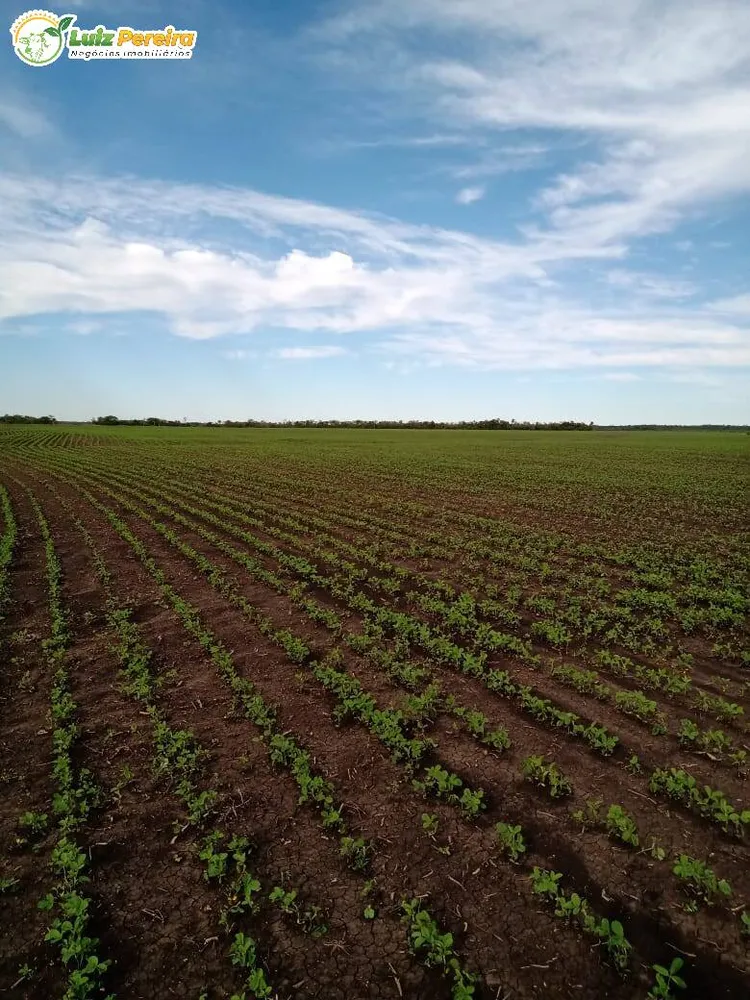 Terreno, 1800 hectares - Foto 1