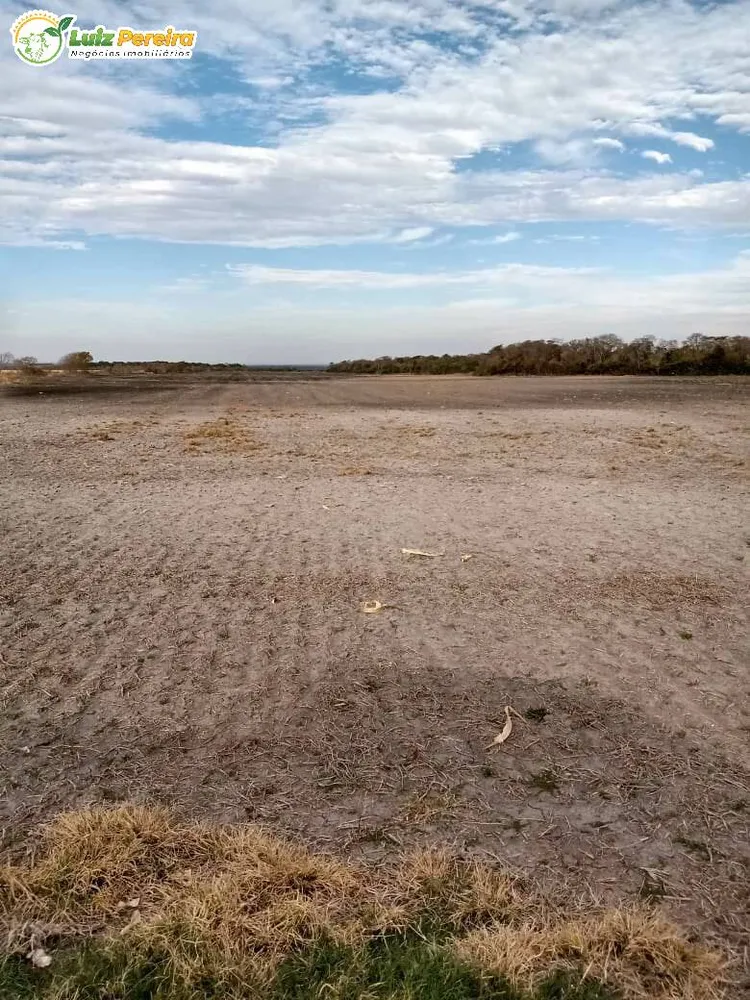 Terreno, 1800 hectares - Foto 4