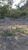 Terreno, 2200 hectares - Foto 1