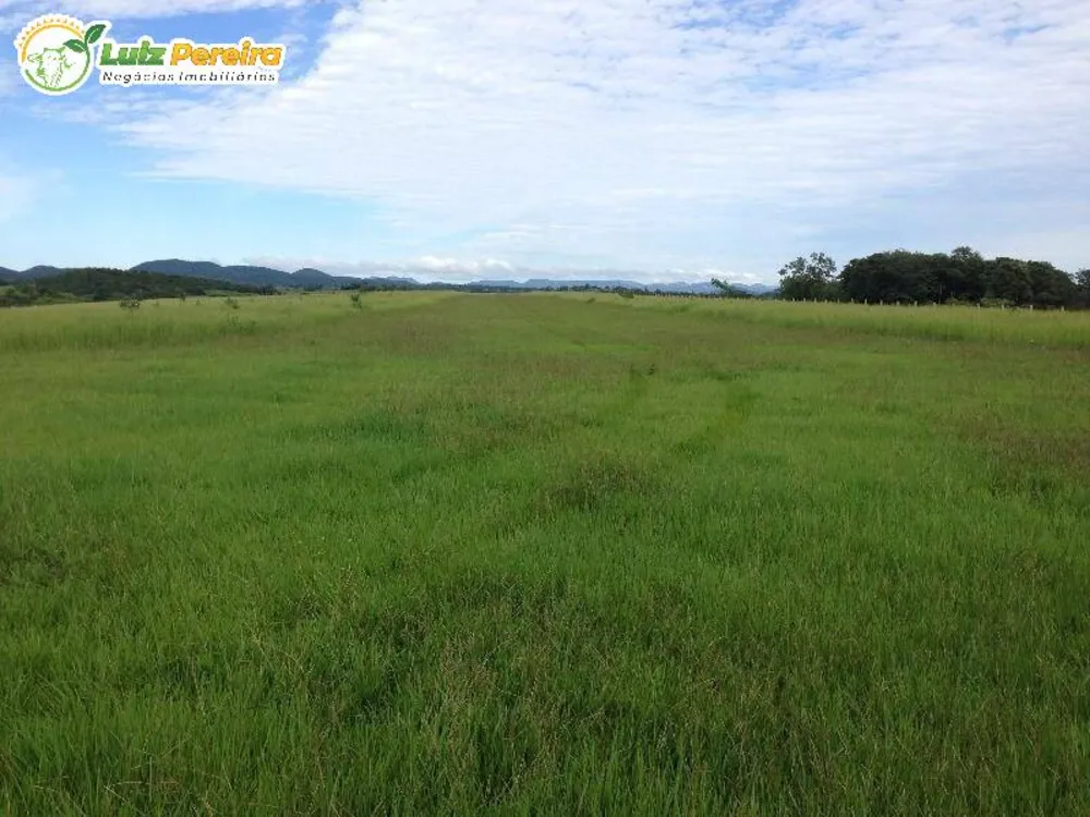 Terreno, 4900 m² - Foto 8