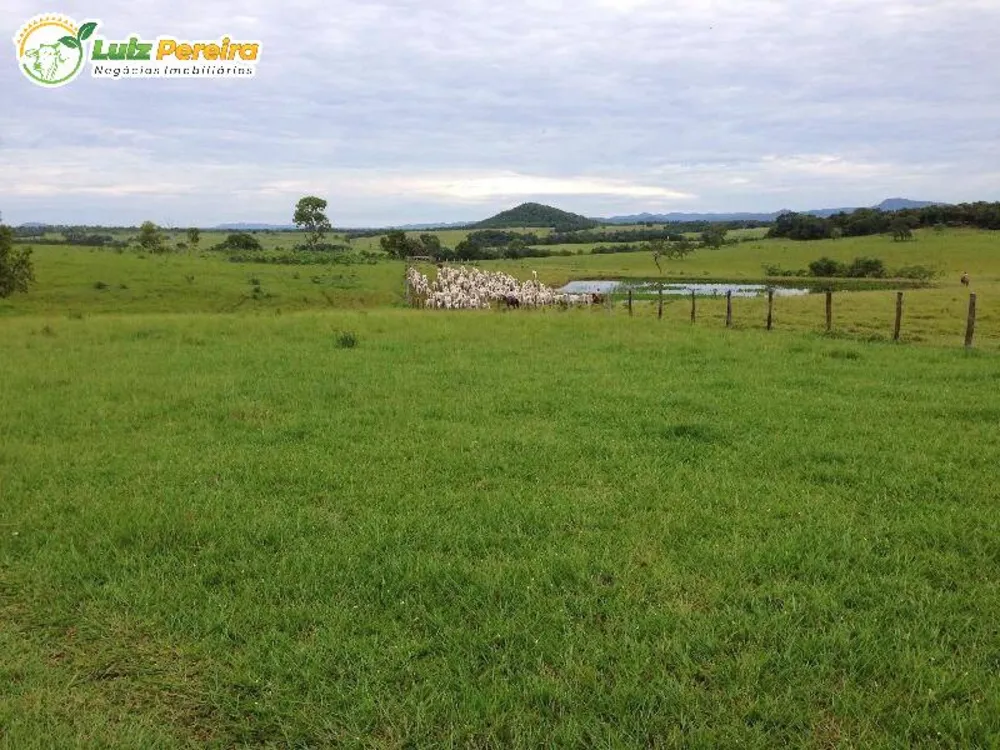 Terreno, 4900 m² - Foto 4