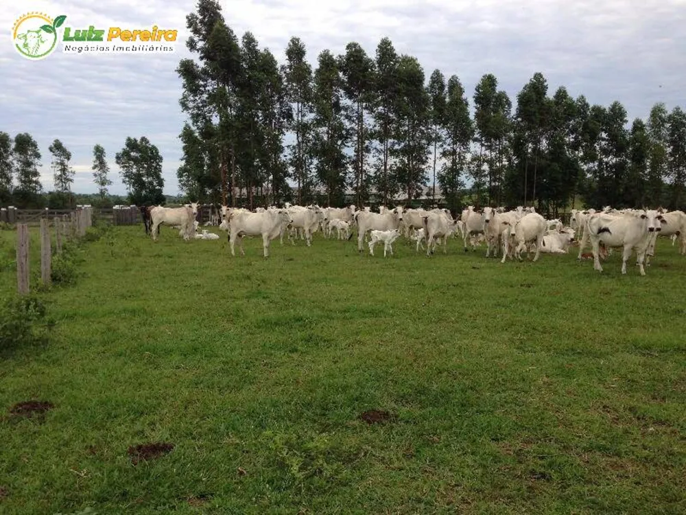 Terreno, 4900 m² - Foto 1