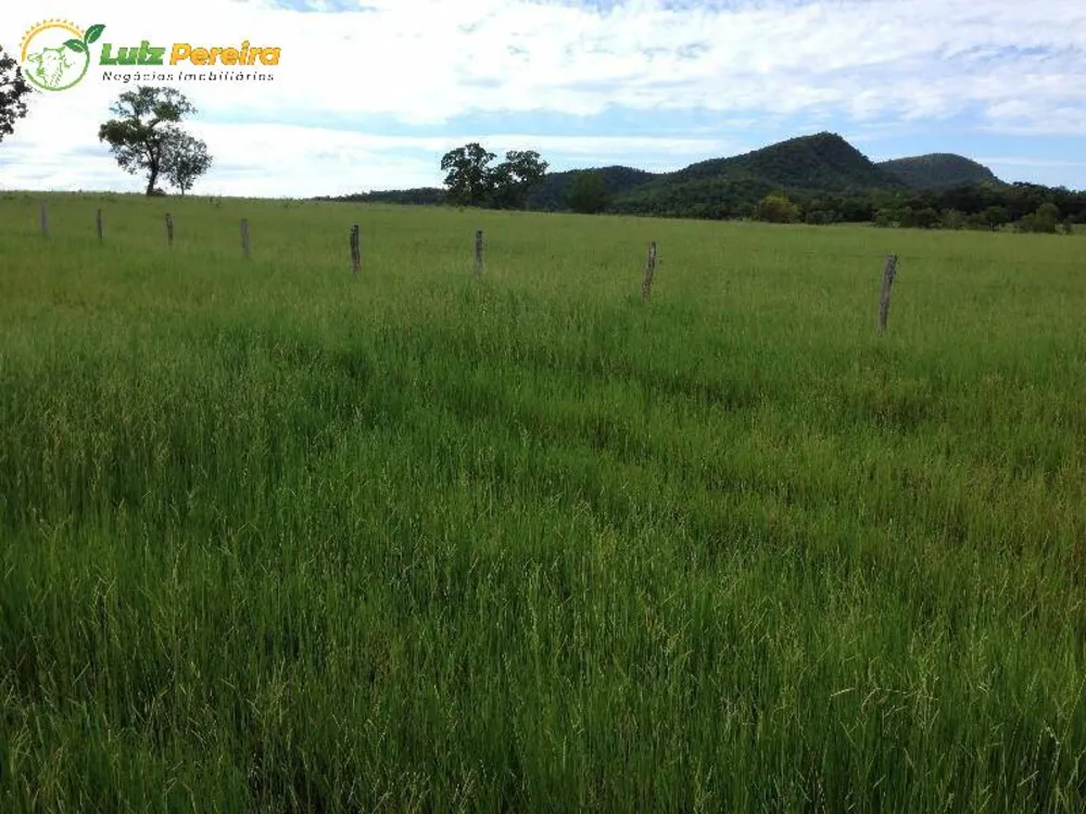 Terreno, 4900 m² - Foto 9