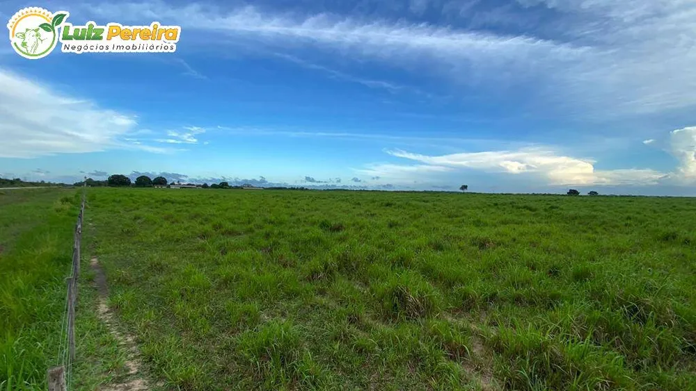 Terreno, 455 hectares - Foto 2