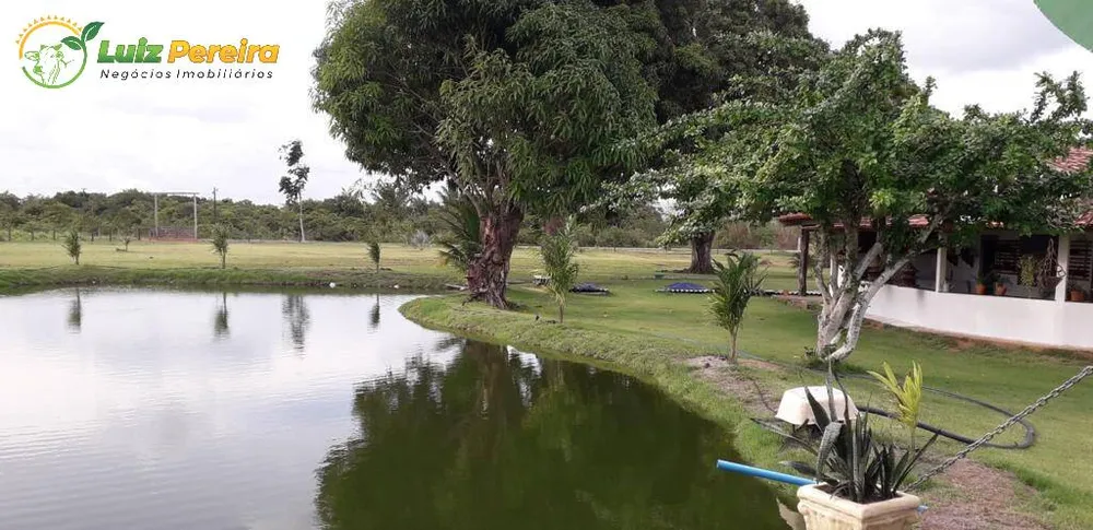 Terreno, 455 hectares - Foto 1