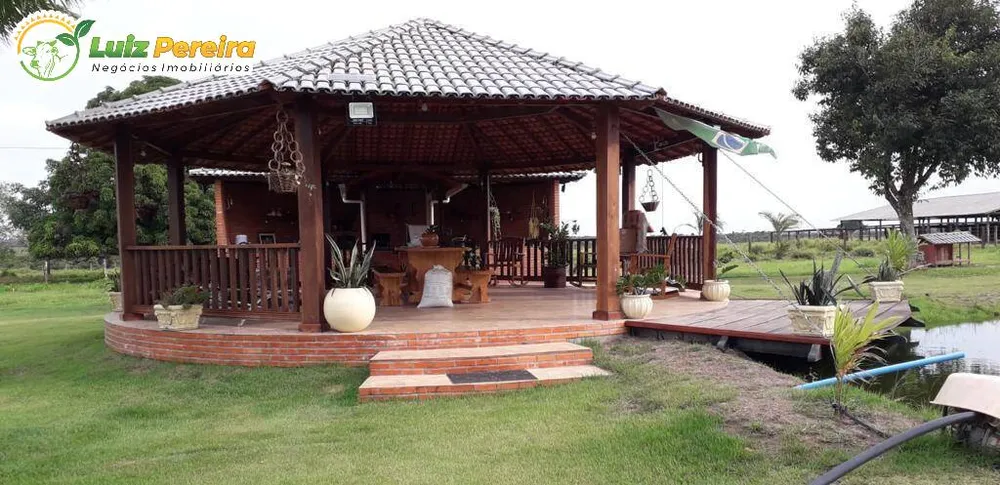 Terreno, 455 hectares - Foto 4