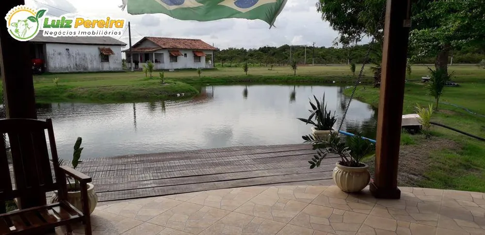 Terreno, 455 hectares - Foto 7