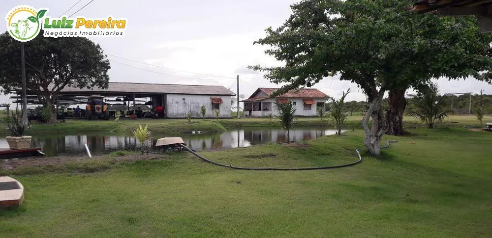 Terreno, 455 hectares - Foto 6