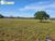 Terreno, 240 hectares - Foto 2