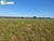 Terreno, 240 hectares - Foto 3