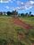 Terreno, 1306 m² - Foto 6