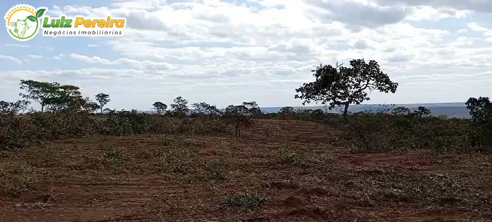 Terreno, 6660 m² - Foto 4