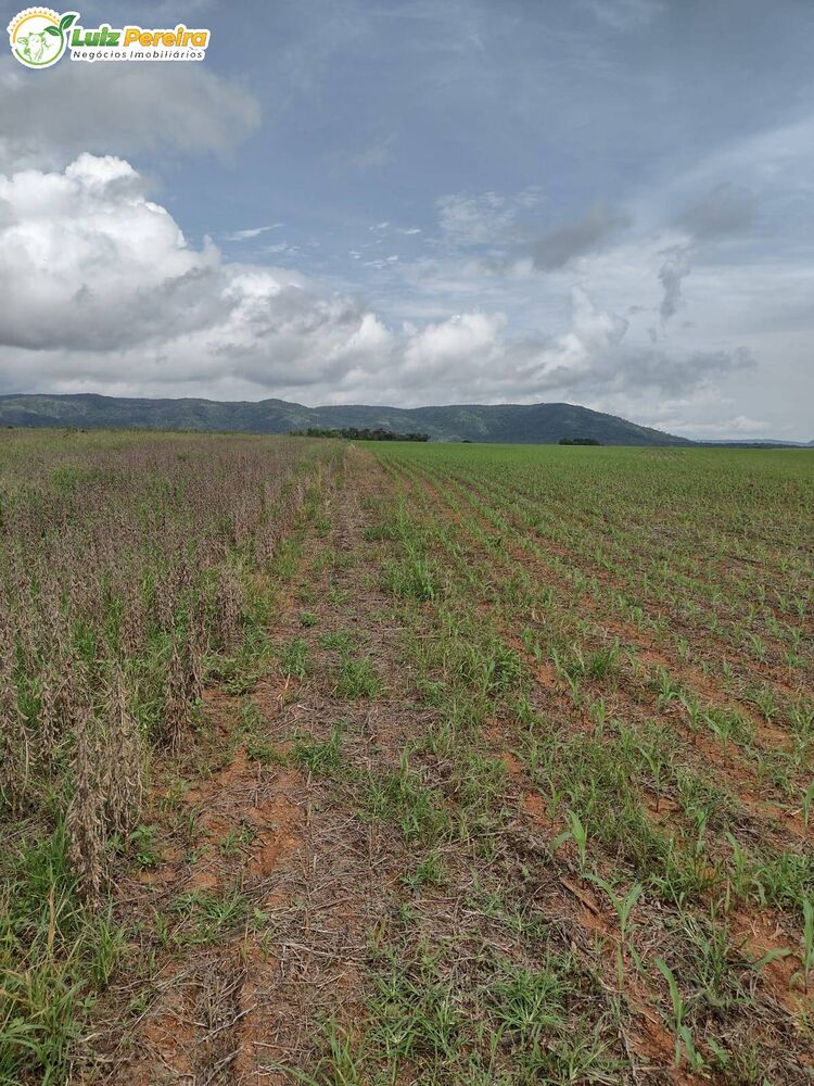 Terreno, 877 m² - Foto 2