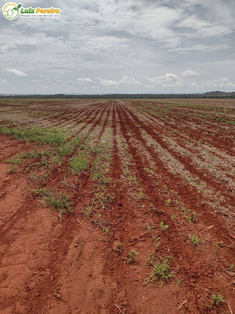 Terreno, 877 m² - Foto 1