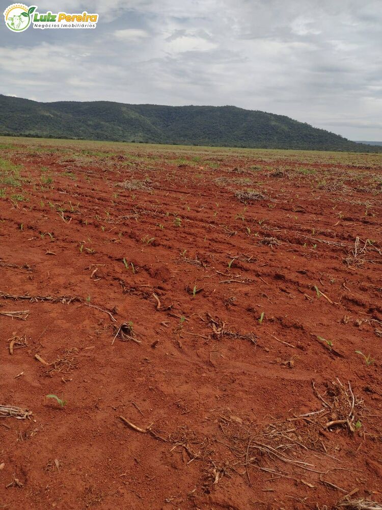 Terreno, 877 m² - Foto 9