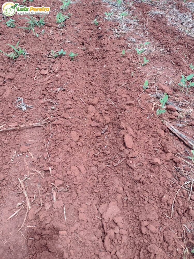 Terreno, 877 m² - Foto 13