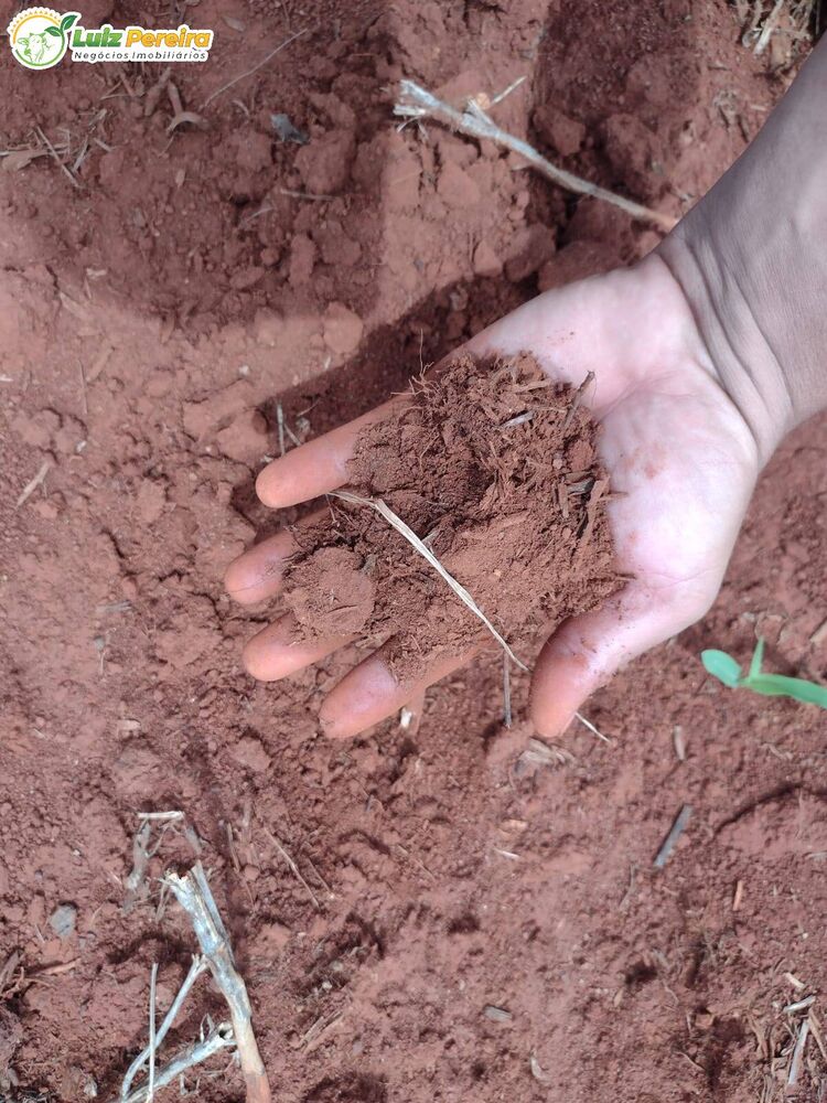 Terreno, 877 m² - Foto 15