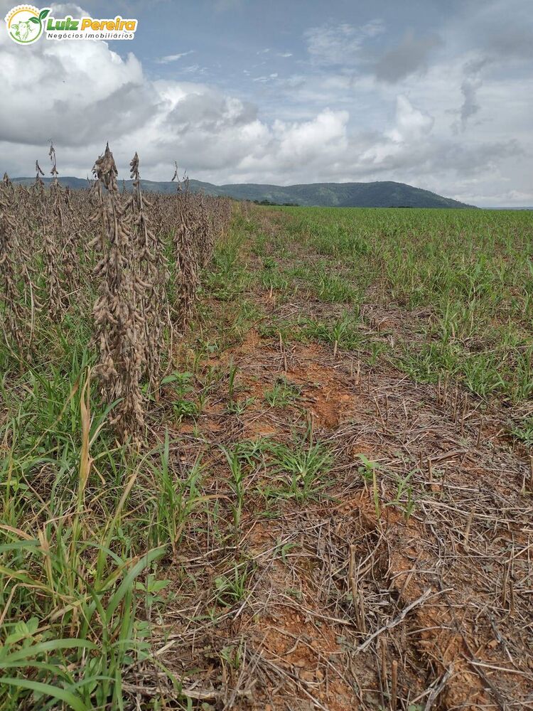 Terreno, 877 m² - Foto 3