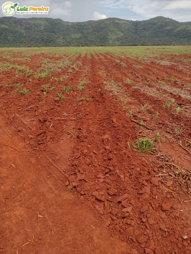 Terreno, 877 m² - Foto 11