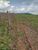 Terreno, 877 m² - Foto 3