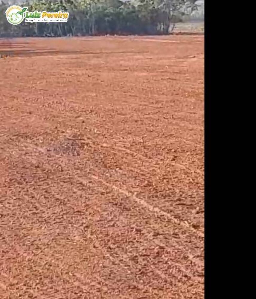 Terreno, 484 m² - Foto 5