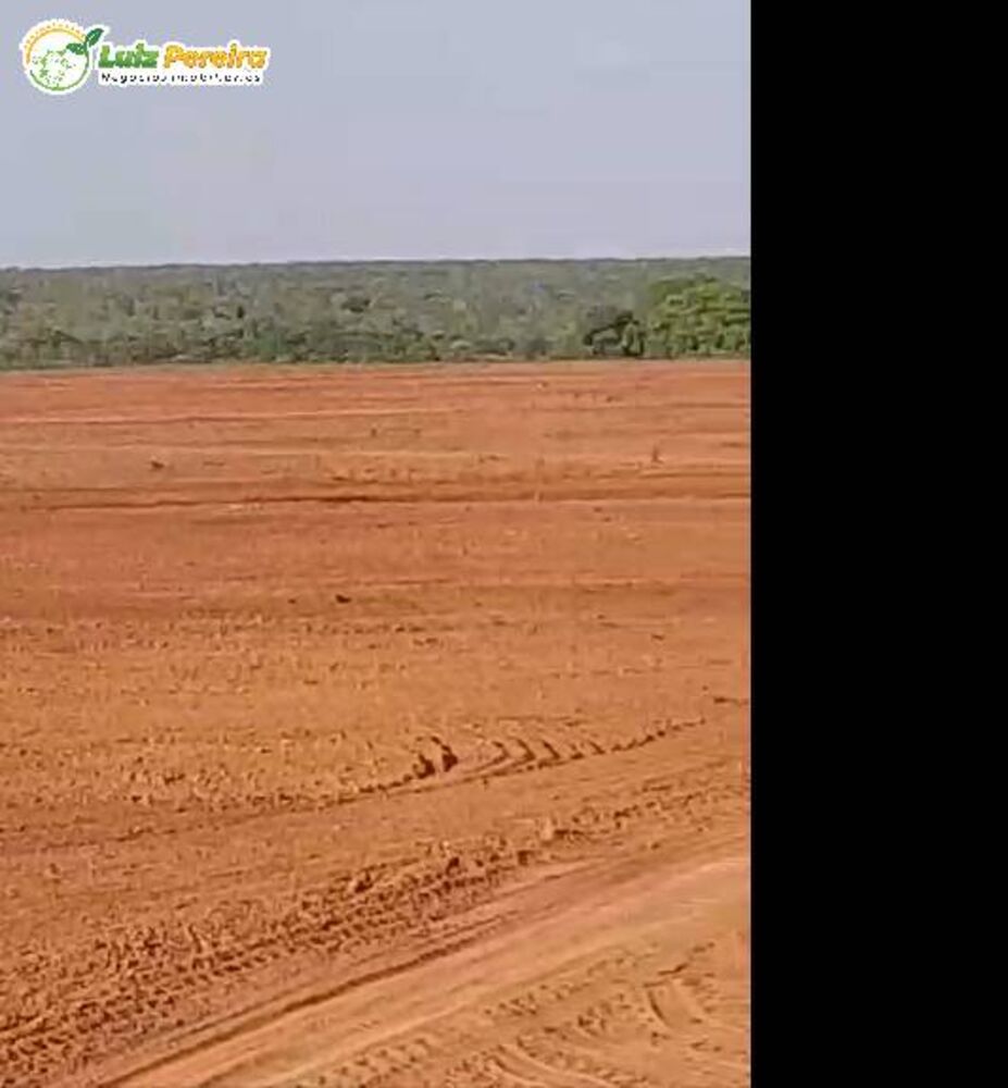 Terreno, 484 m² - Foto 6