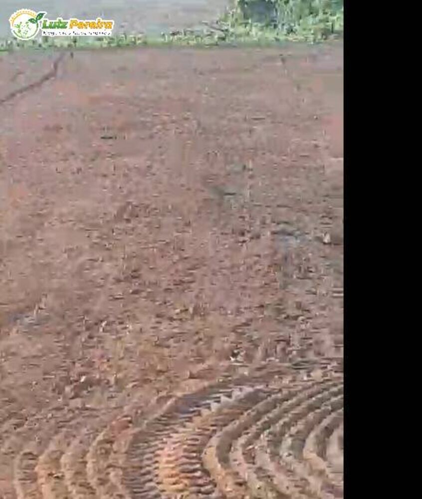 Terreno, 484 m² - Foto 8