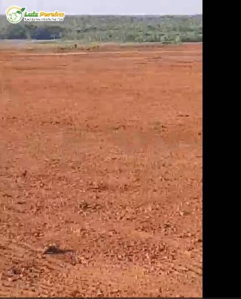 Terreno, 484 m² - Foto 7