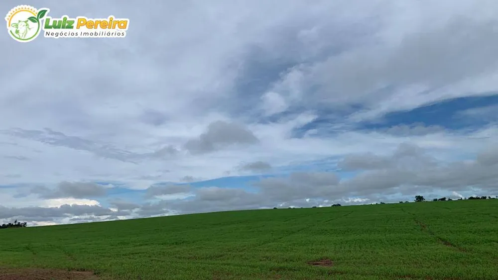 Terreno, 1650 m² - Foto 4