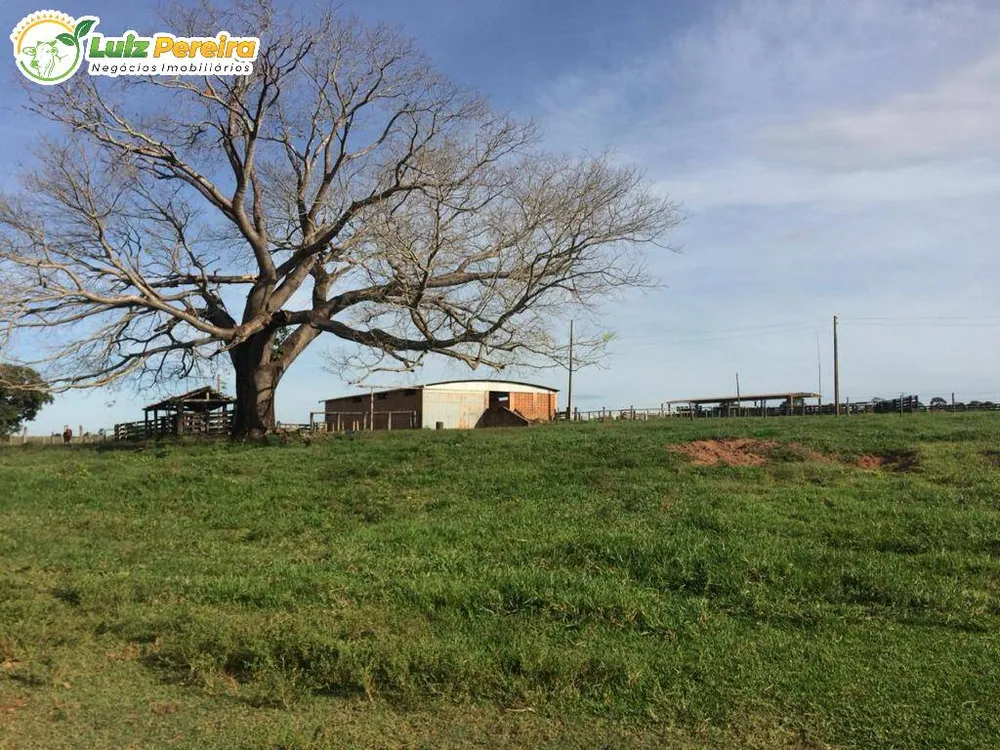 Terreno, 2129 m² - Foto 2