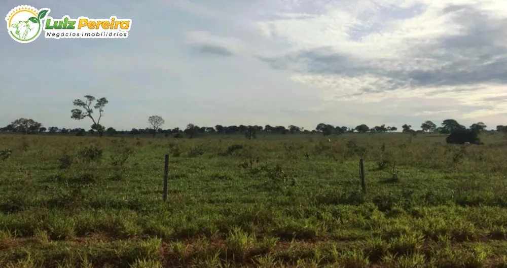 Terreno, 2129 m² - Foto 7