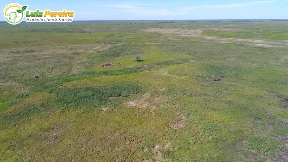 Terreno, 2 hectares - Foto 5