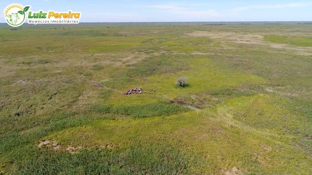 Terreno, 2 hectares - Foto 7