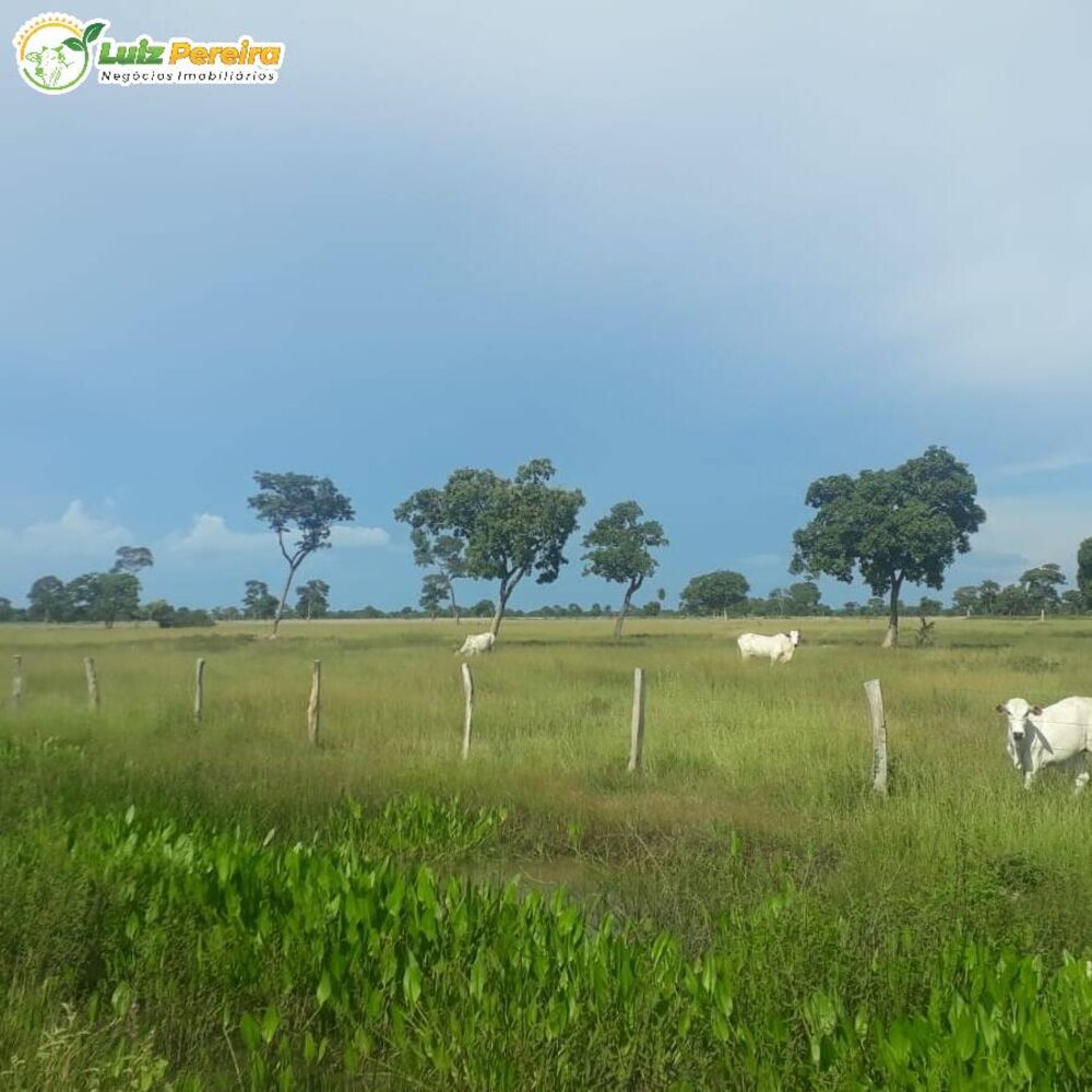 Terreno, 2 hectares - Foto 1