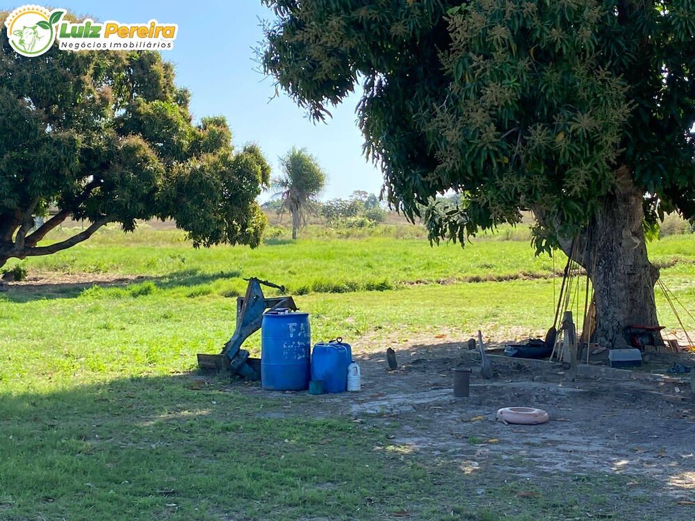 Terreno, 2 hectares - Foto 11