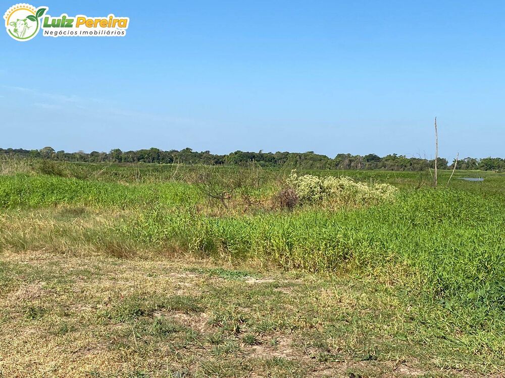 Terreno, 2 hectares - Foto 2