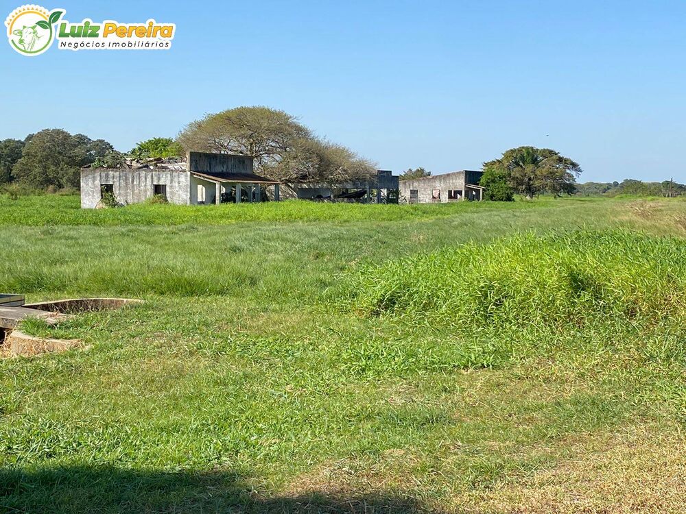 Terreno, 2 hectares - Foto 8