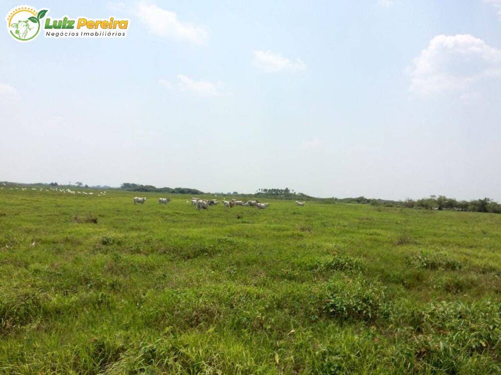 Terreno, 2 hectares - Foto 4