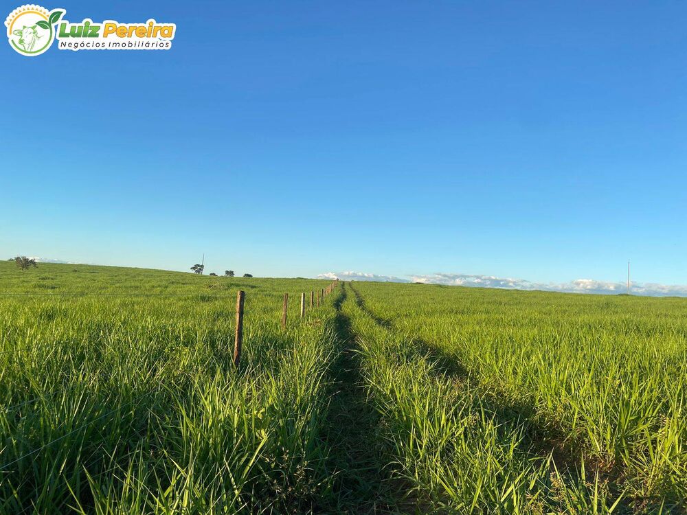 Terreno, 442 m² - Foto 4