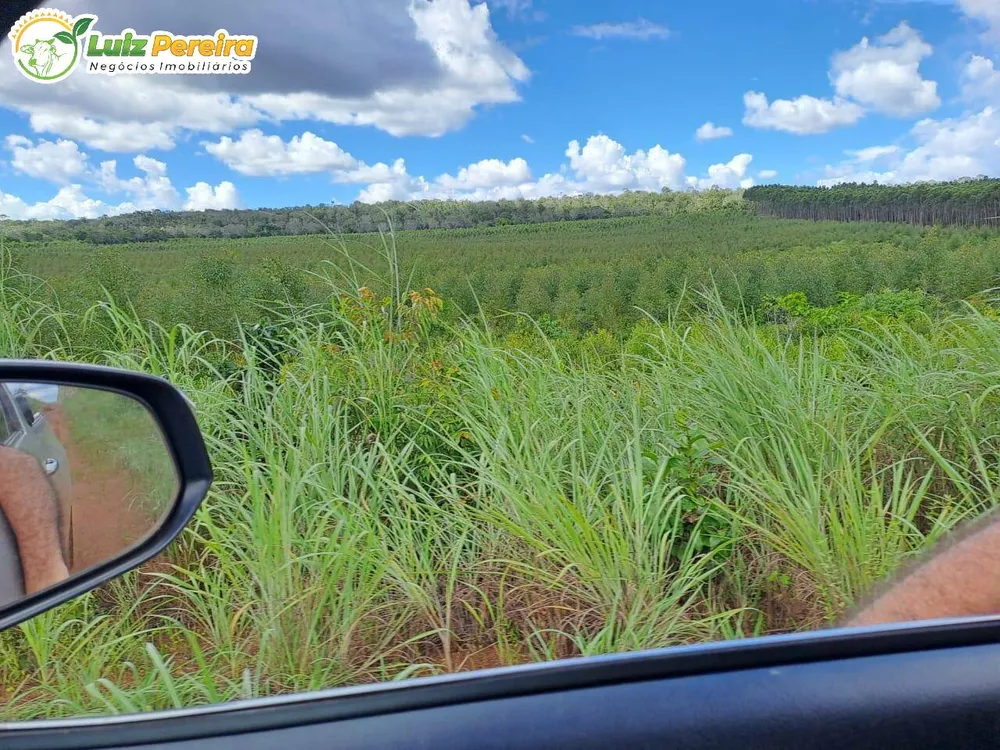 Terreno, 1 hectares - Foto 7
