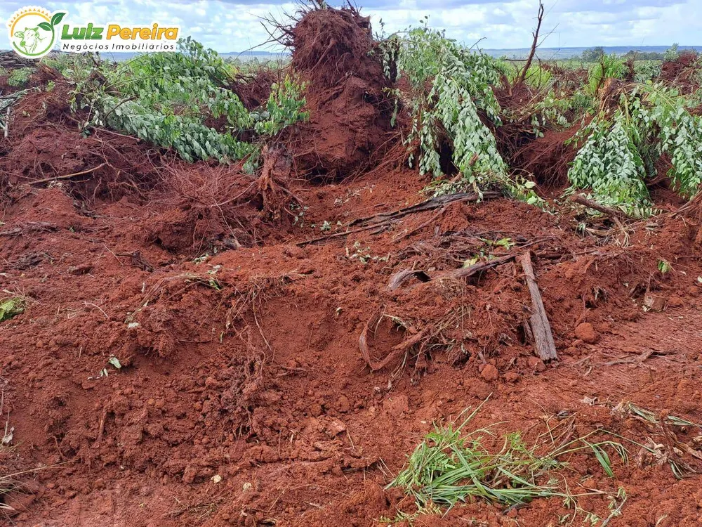 Terreno, 1 hectares - Foto 6